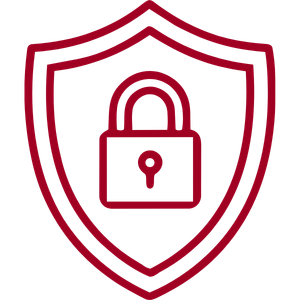 security icon